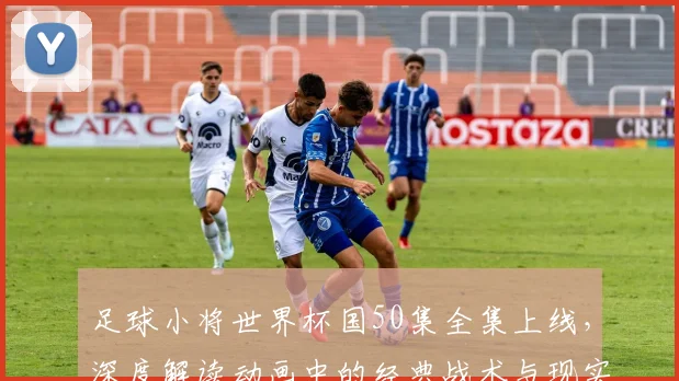 足球小将世界杯国50集全集上线，深度解读动画中的经典战术与现实影响